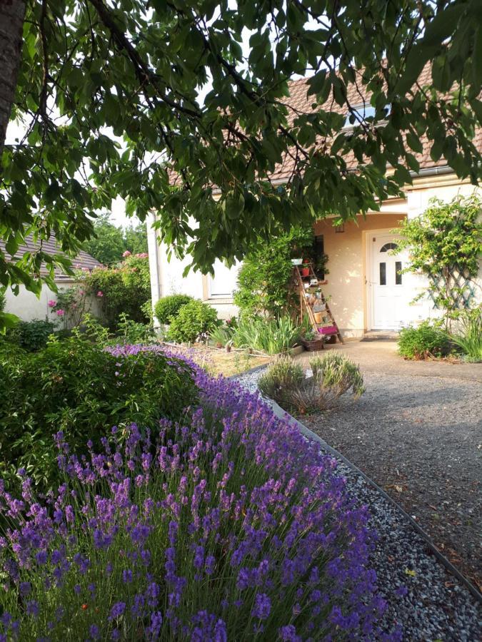 Chez Bea Apartment Saint-Ouen-en-Belin Bagian luar foto